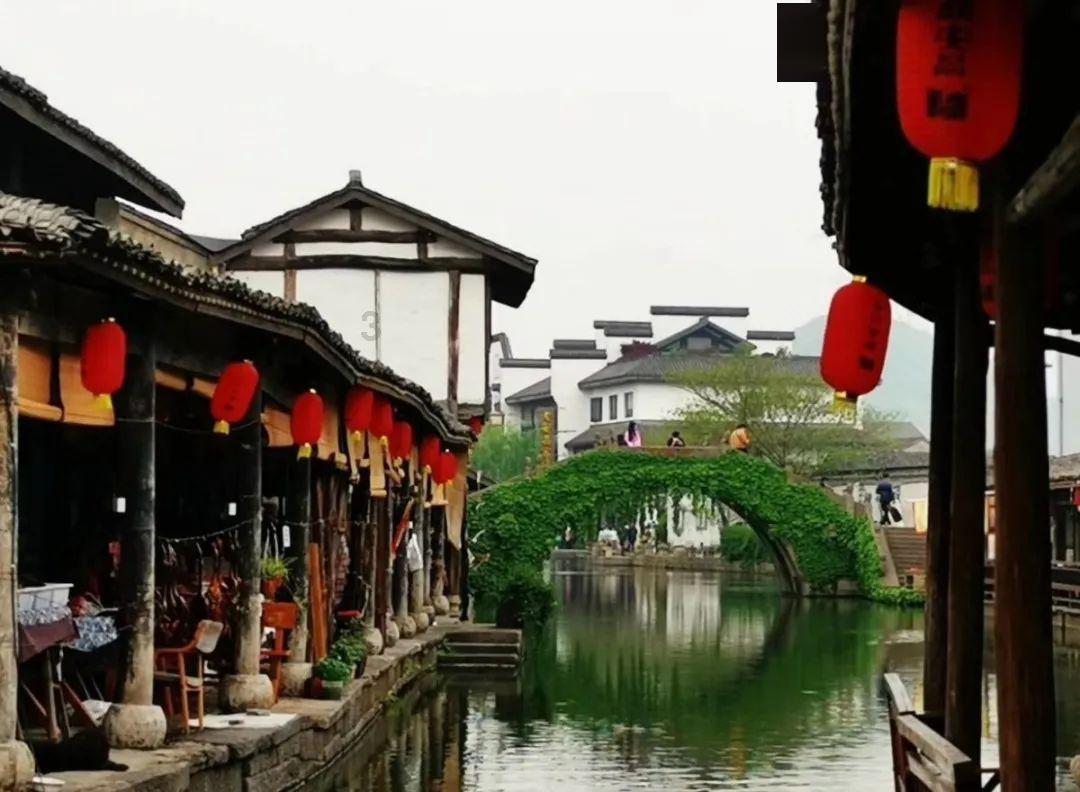 逃离神秘老林